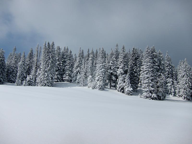 Kuhschneeberg